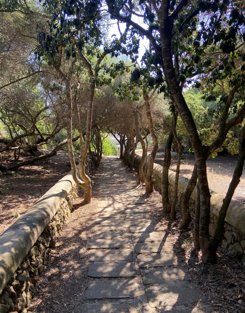 Minorque chemin pour aller à Cala En Brut